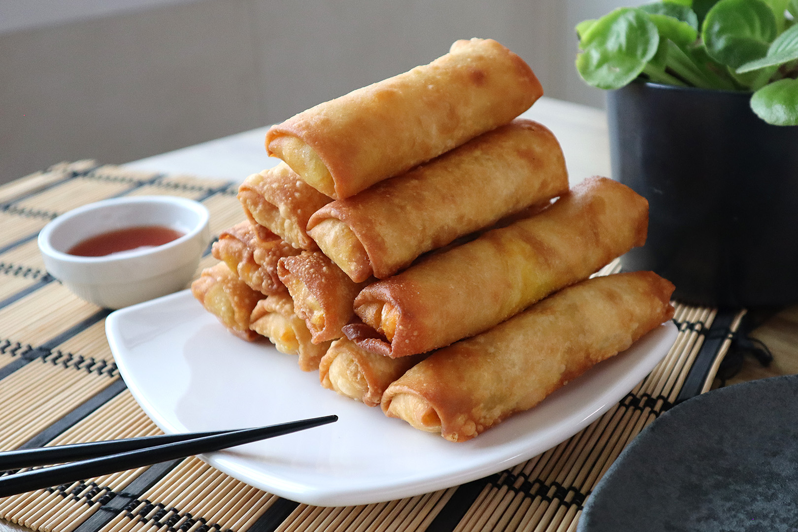 pratos com rolinhos primavera