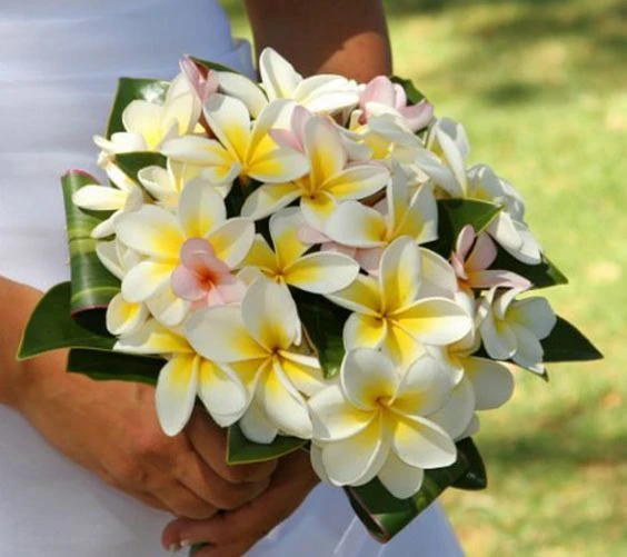Vaso de flores com orquídeas brancas e amarelas, ideal para decoração de eventos e ocasiões especiais, trazendo elegância e sofisticação.