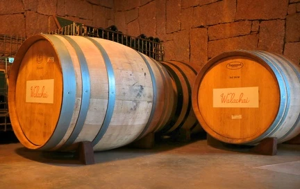 Barricas de vinho envelhecendo em adega, destaque para madeira rústica e ambiente acolhedor, ideal para quem aprecia vinhos finos.