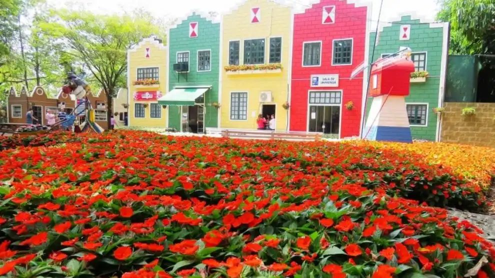 Coloridas casinhas e jardim de flores vermelhas na cidade de Campos do Jordão, destacando a beleza e charme do destino turístico.