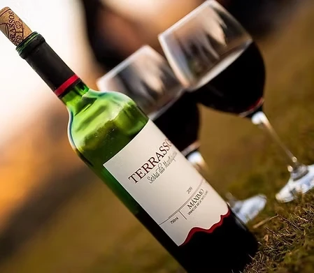 Garrafas de vinho tinto e duas taças de vinho na natureza, destacando um rótulo de vinho produzido na região de Terraassa.