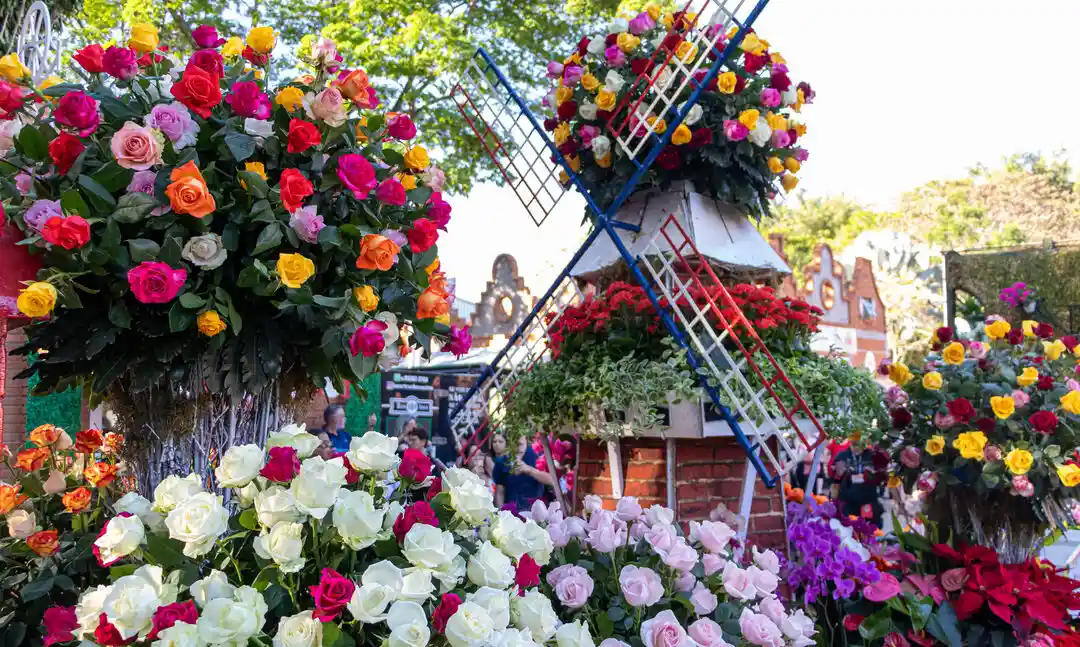 Linda paisagem com grandes vasos de flores coloridas ao redor de um moinho de vento decorativo, em um ambiente ao ar livre, ideal para fotos e celebrações.
