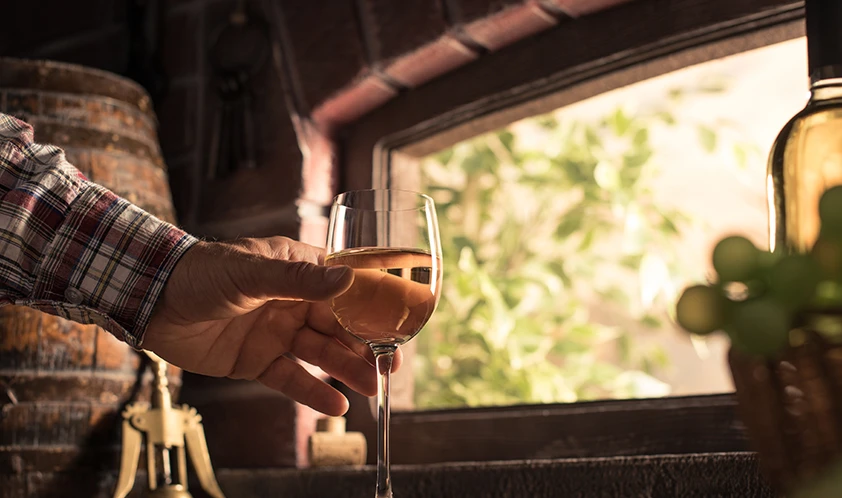 Pessoa segurando uma taça de vinho rosé em ambiente aconchegante, com janela de madeira ao fundo e iluminação natural, ideal para apreciar vinho.