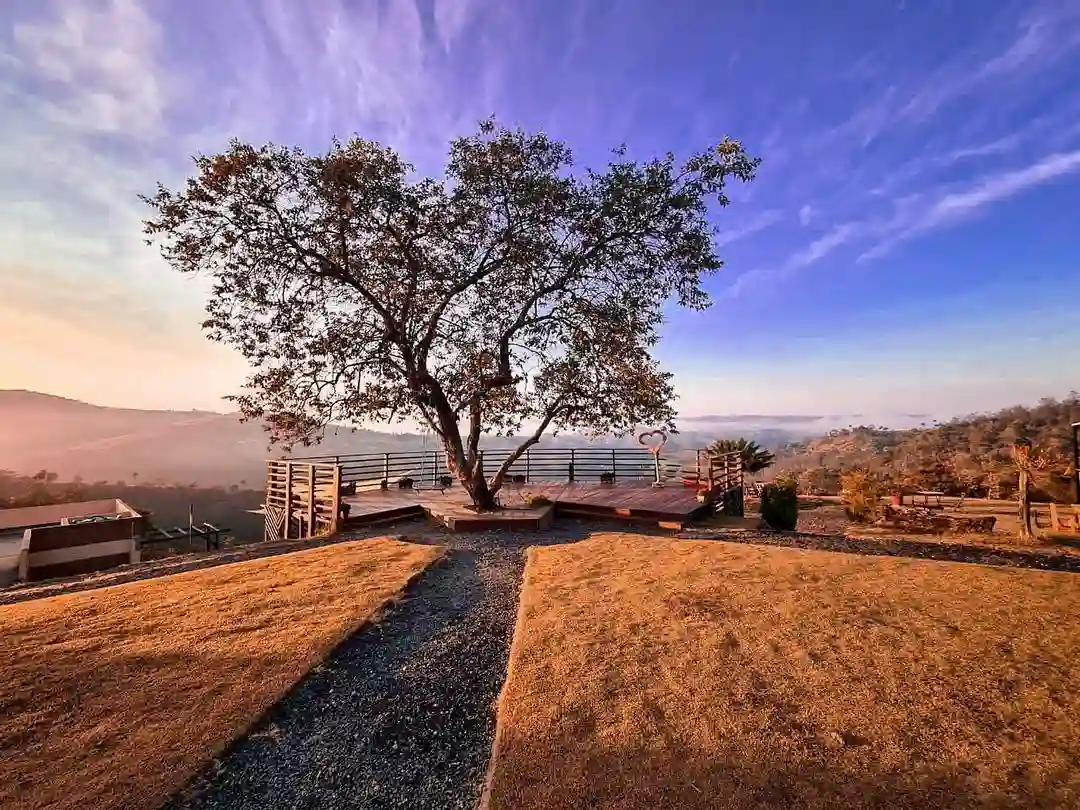 Linda vista de uma árvore em um mirante ao entardecer, com céu azul e nuvens, refletindo tranquilidade e conexão com a natureza.