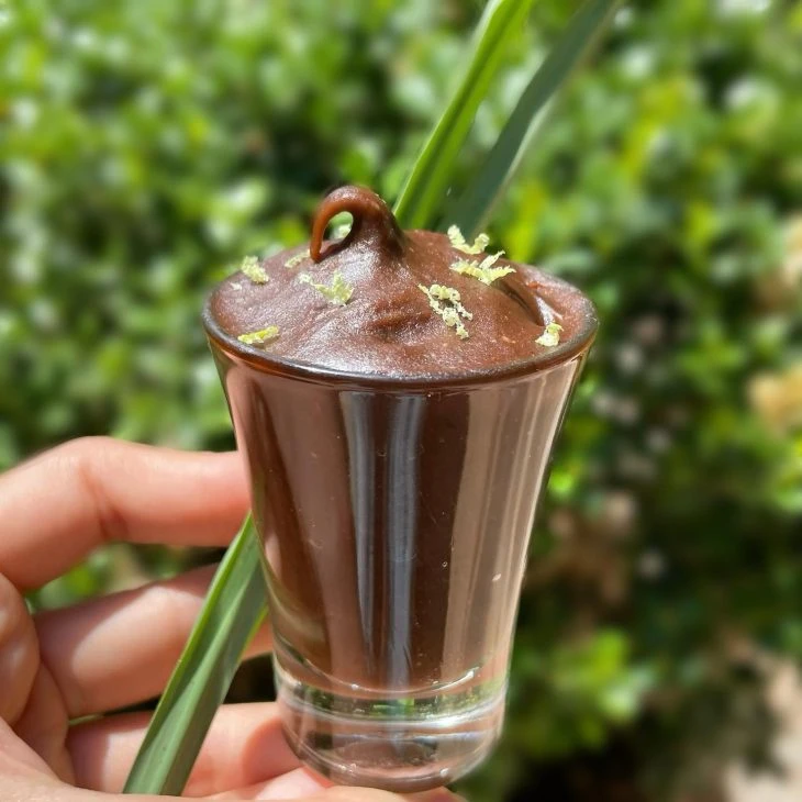 Delicioso brigadeiro gourmet cremoso servido em um copo transparente, decorado com raspas de chocolate e uma haste de planta, com fundo de vegetação verde.