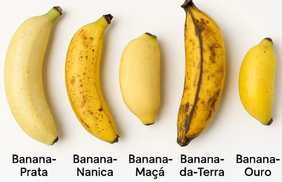 Diversas variedades de bananas alinhadas, incluindo banana-prata, nanica, maçã, da Terra e ouro, mostrando diferenças de cor e tamanho.