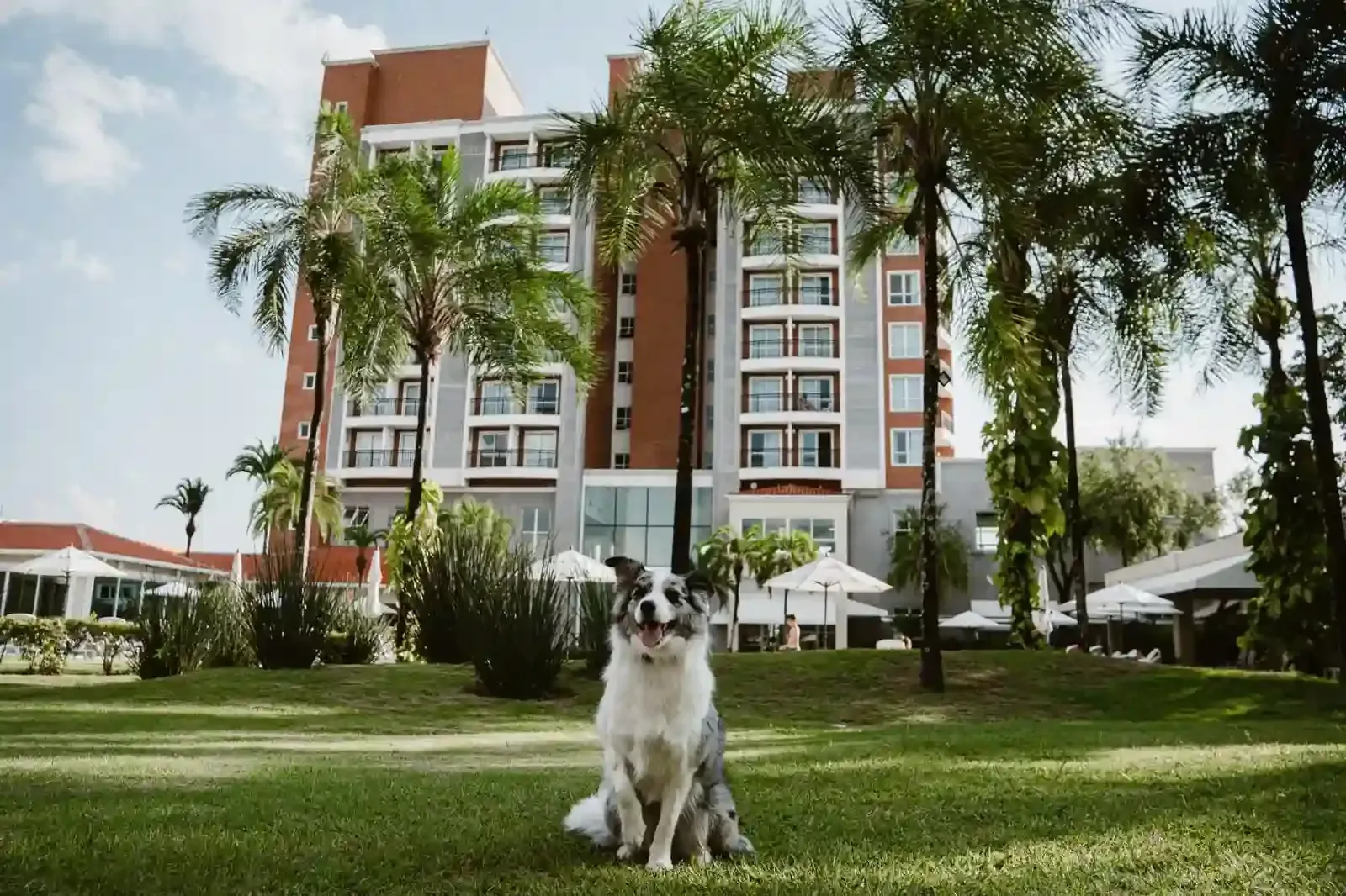 pet friendly Vitória Convention Indaiatuba